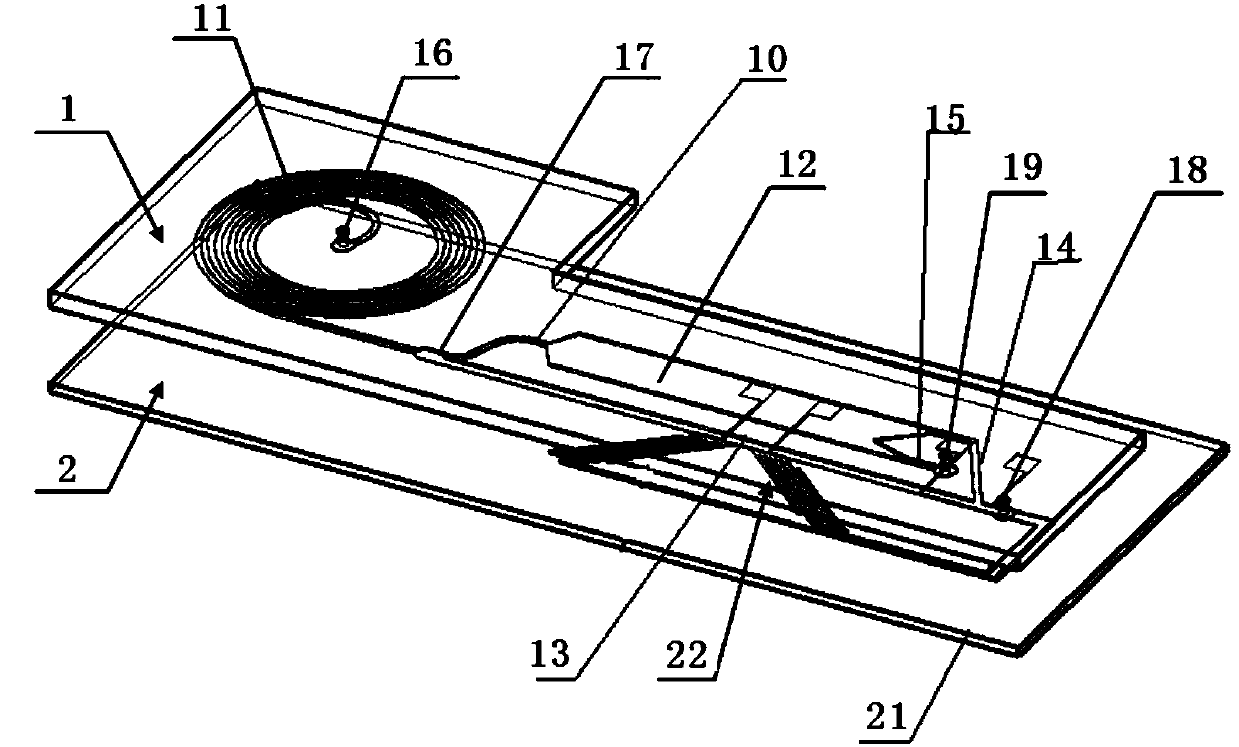 Multilevel sorting microfluidic device for rare cells