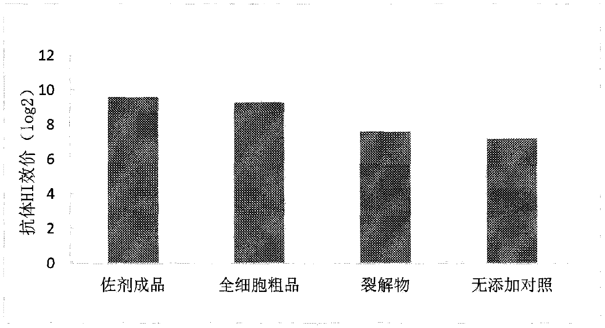 A kind of fermentation method of rhodococcus and its application as adjuvant in animal vaccine