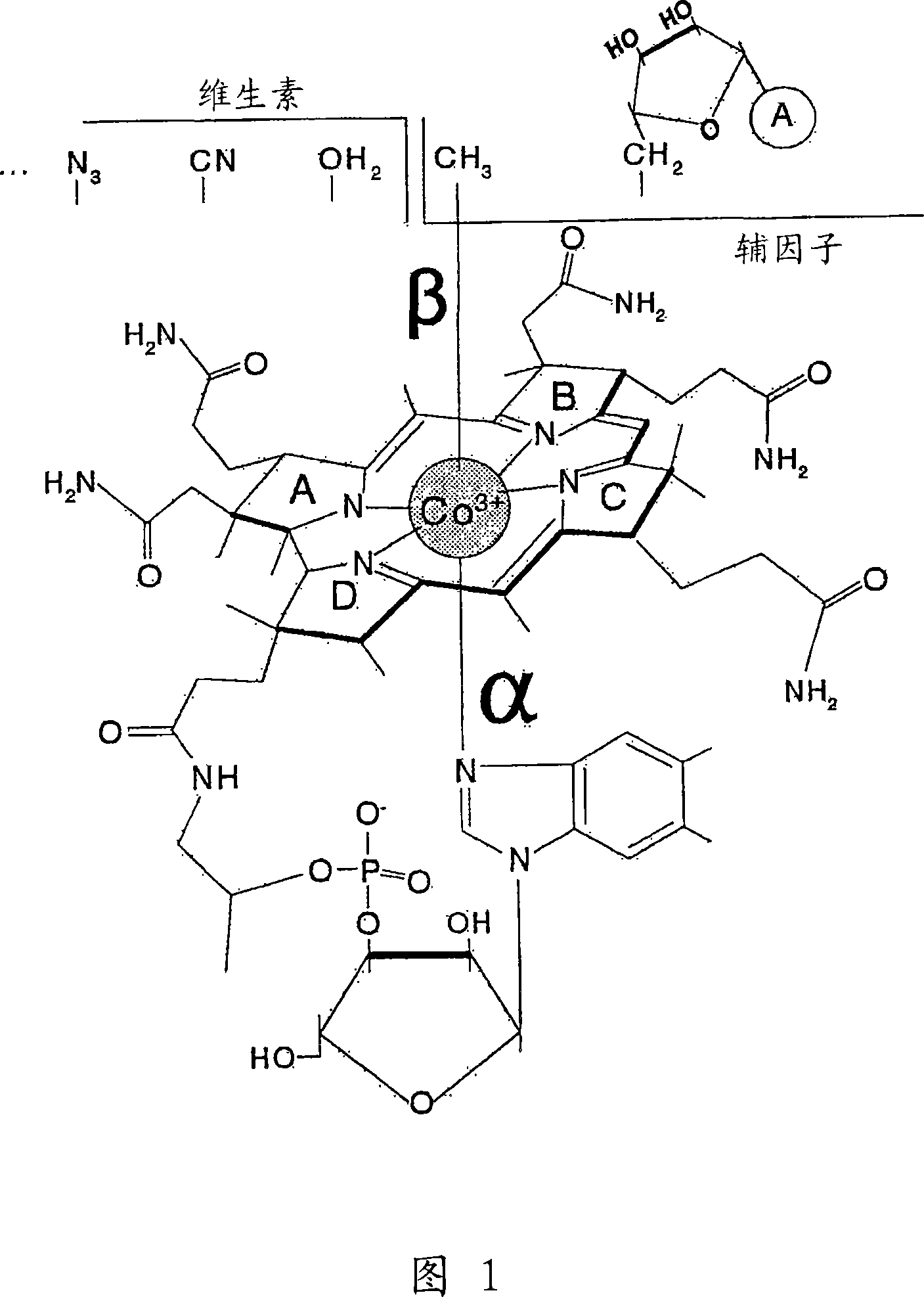 Methods for purifying corrin-containing molecules