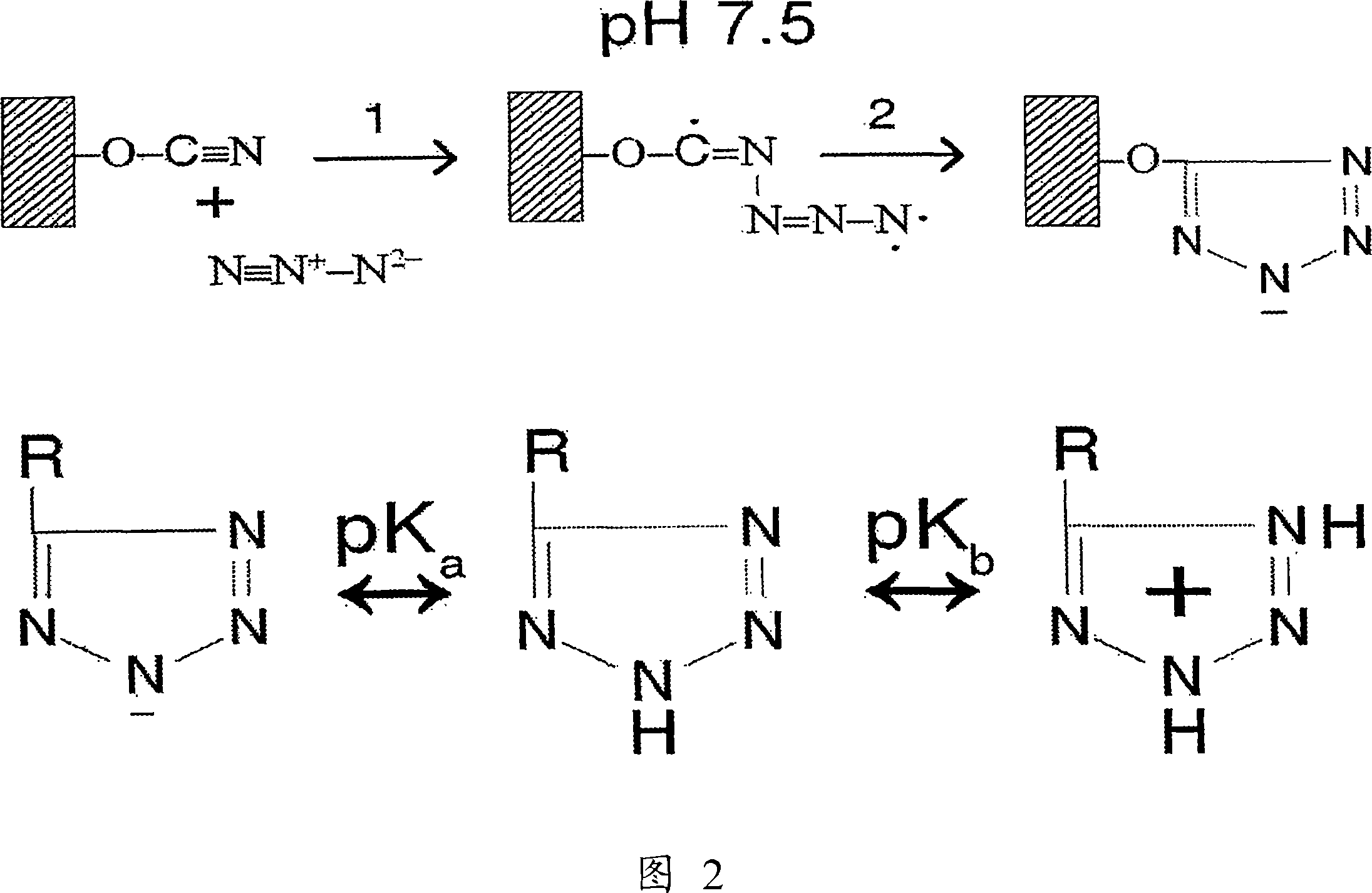 Methods for purifying corrin-containing molecules