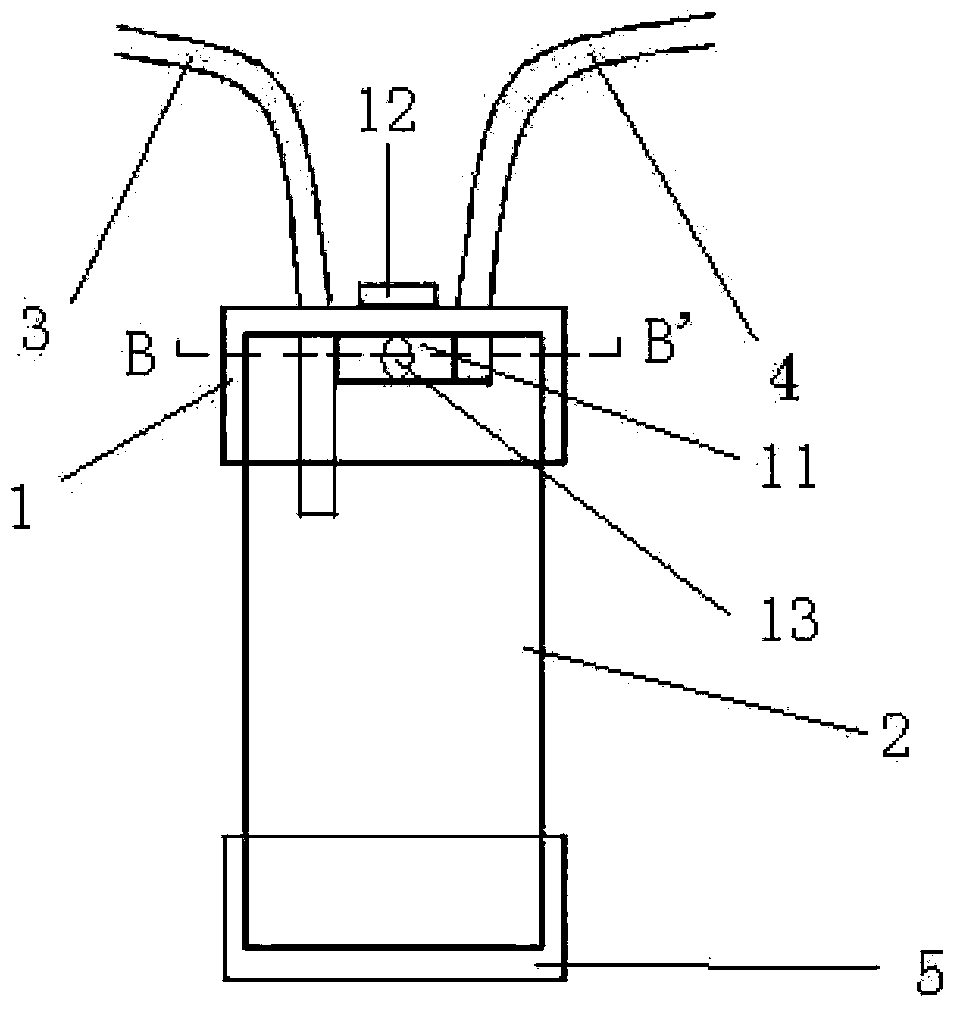 Sputum culture and suction device