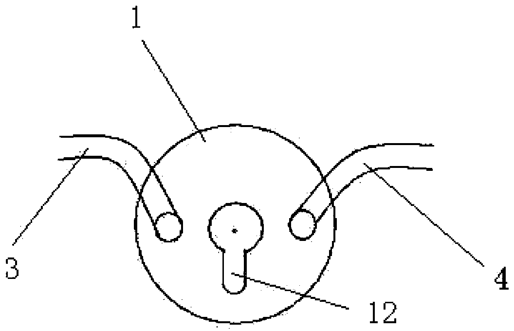 Sputum culture and suction device