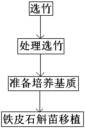 A kind of planting method of dendrobium candidum