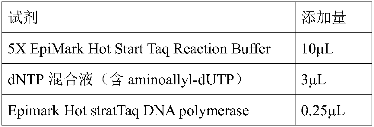 Preparation method of FISH probe of TOP2A gene