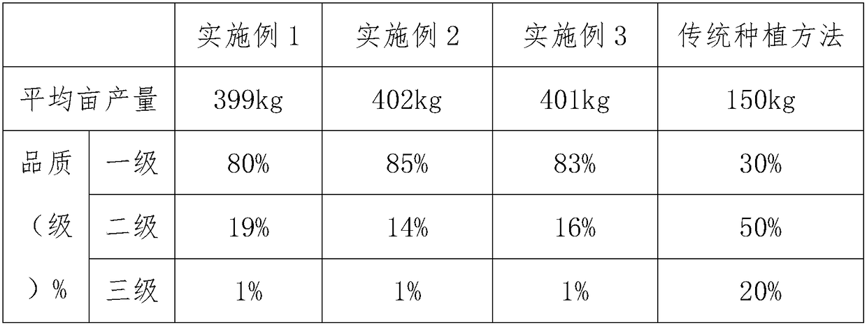 Planting method for increasing yield of chenopodium quinoa