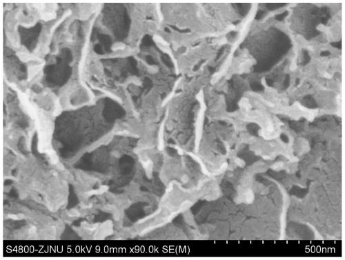 Catalyst using graphene as carrier, preparation method of catalyst, method for degrading wastewater and application of catalyst