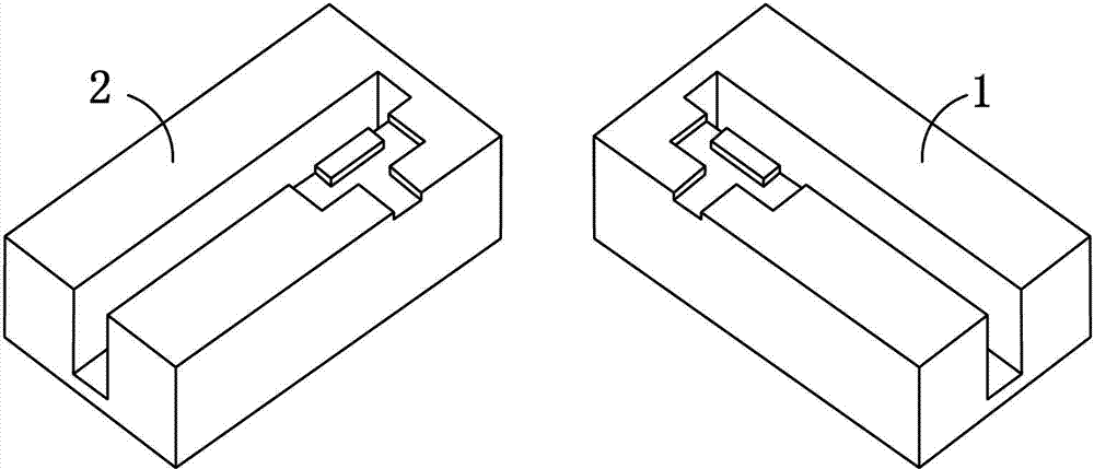 Microstrip waveguide double-probe transition structure