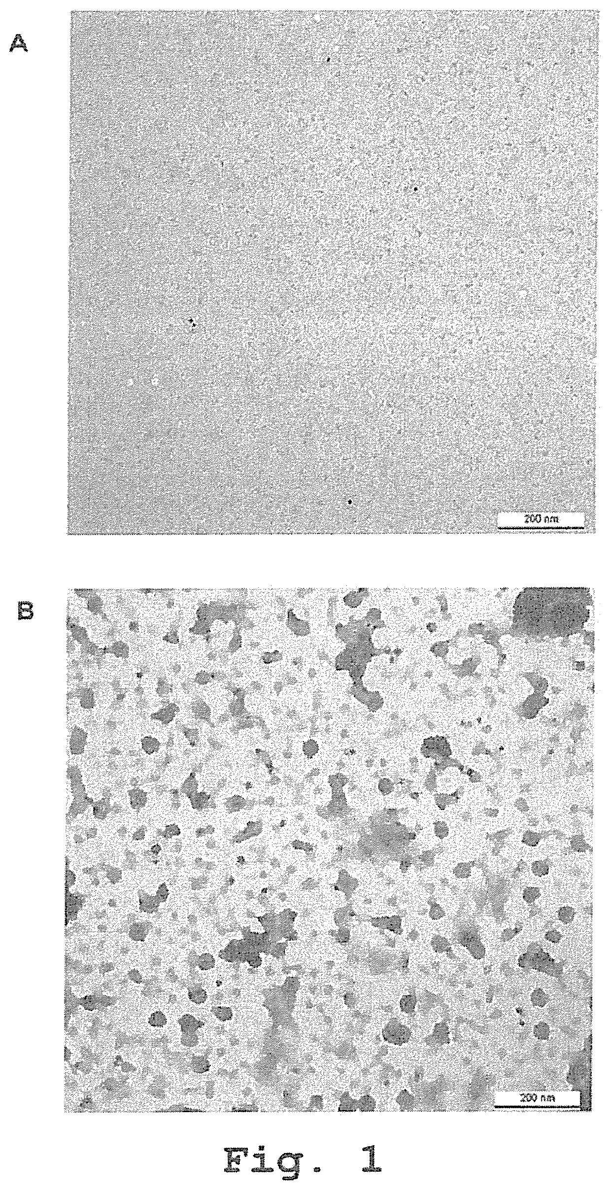 Recombinant human antibodies for therapy and prevention of polyomavirus-related diseases