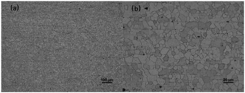 Room-temperature high-plasticity magnesium alloy and preparation method thereof