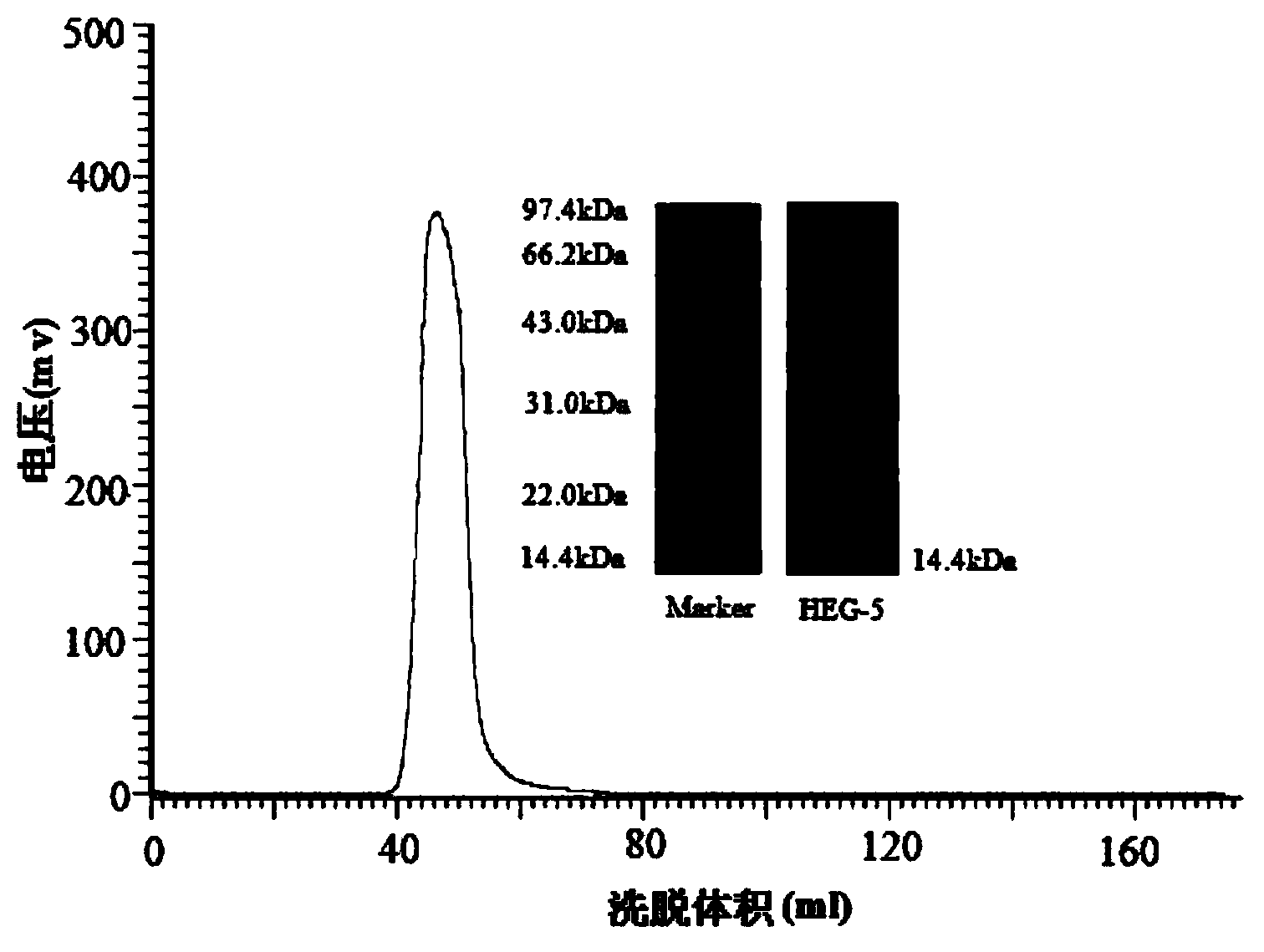 Hericium erinaceus glycoprotein with anti-tumor and agglutination activity and preparation method thereof