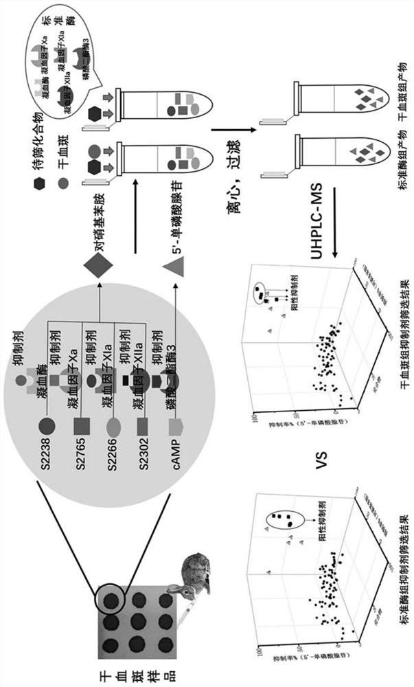 A liquid chromatography-mass spectrometry screening method for multi-target antithrombotic active substances