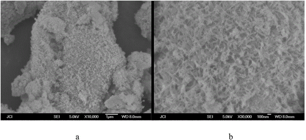 Preparation method of CaTi2O5tremella-like micro-nano structure photocatalyst and product prepared by method