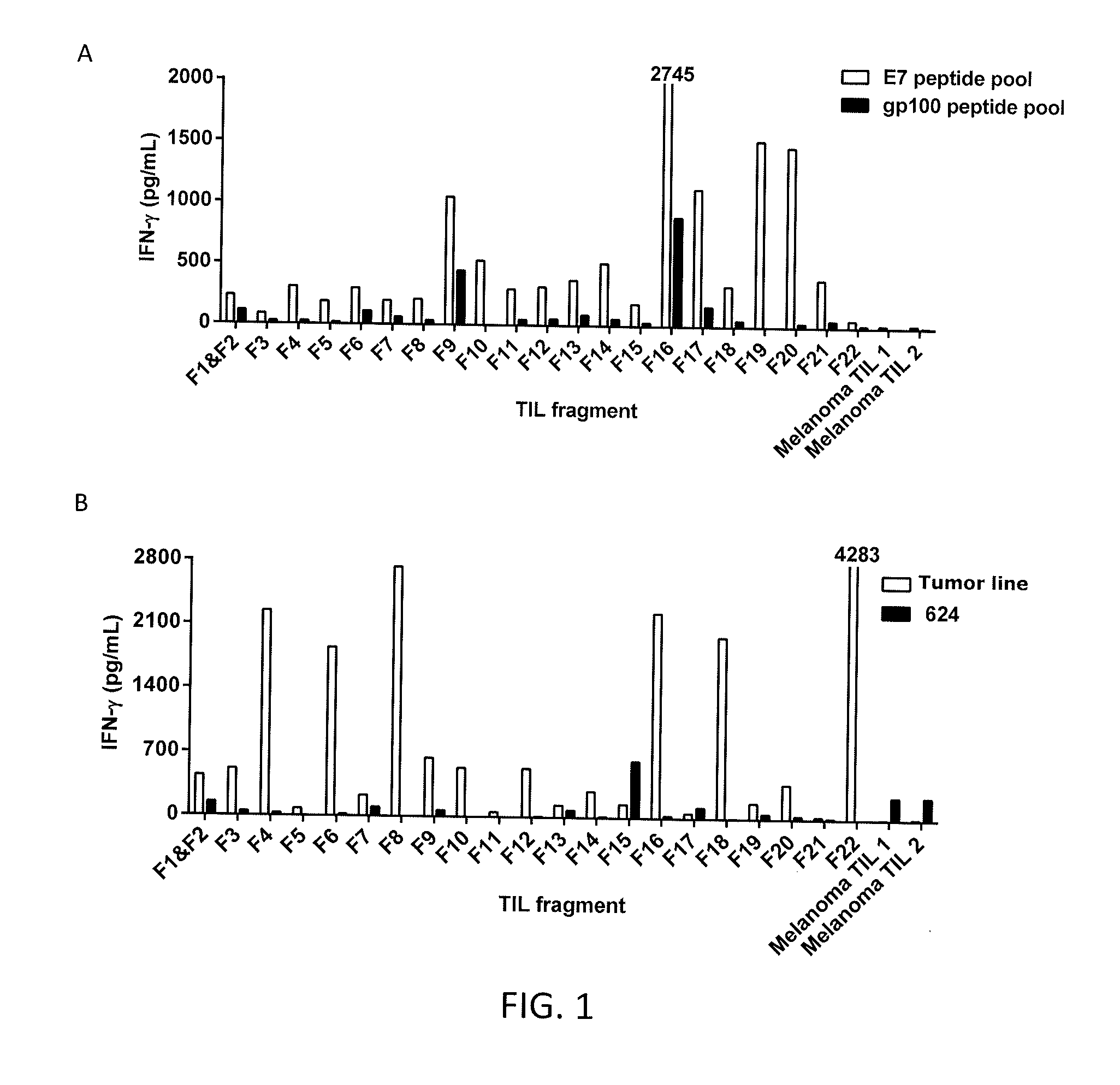 Methods of preparing Anti-human papillomavirus antigen t cells