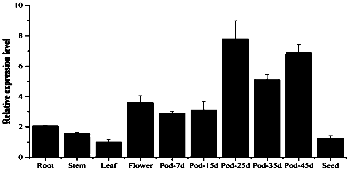 Application of soybean E3 ubiquitin ligase family gene GmRNF1a