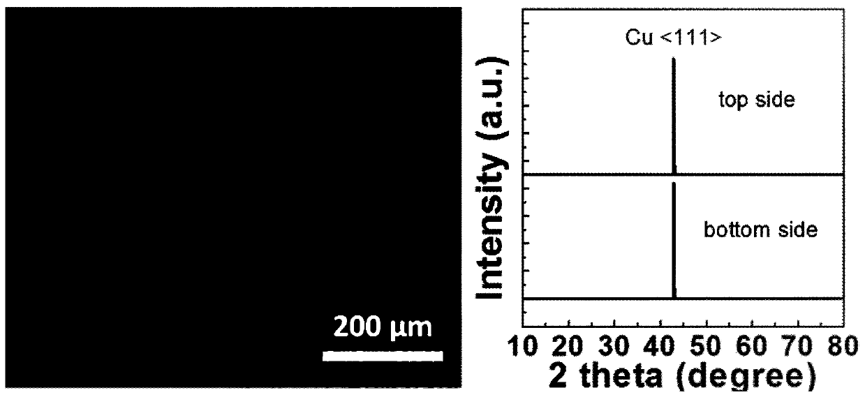 A method and device for rapidly and continuously preparing ultra-large single crystal thin films