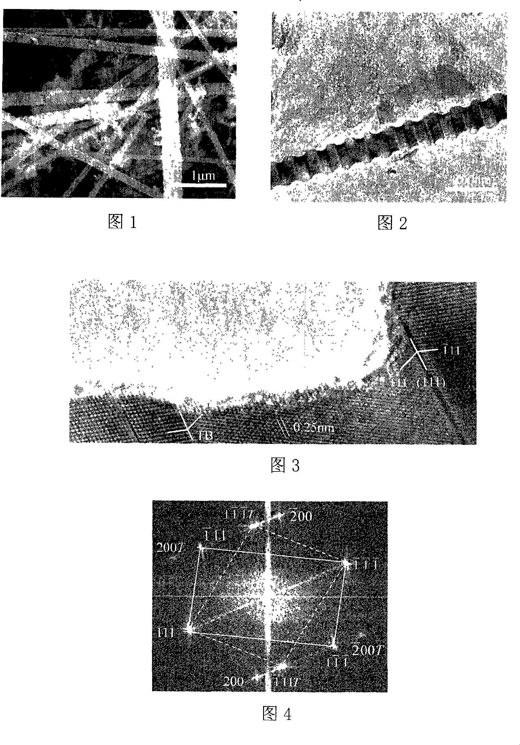 Method for preparing silicon carbide nano-wire with periodical twin crystal structure