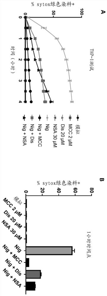 Binding agents and uses thereof