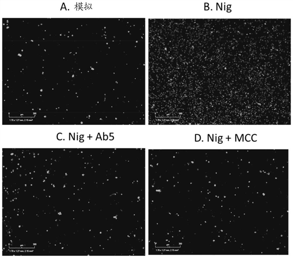 Binding agents and uses thereof