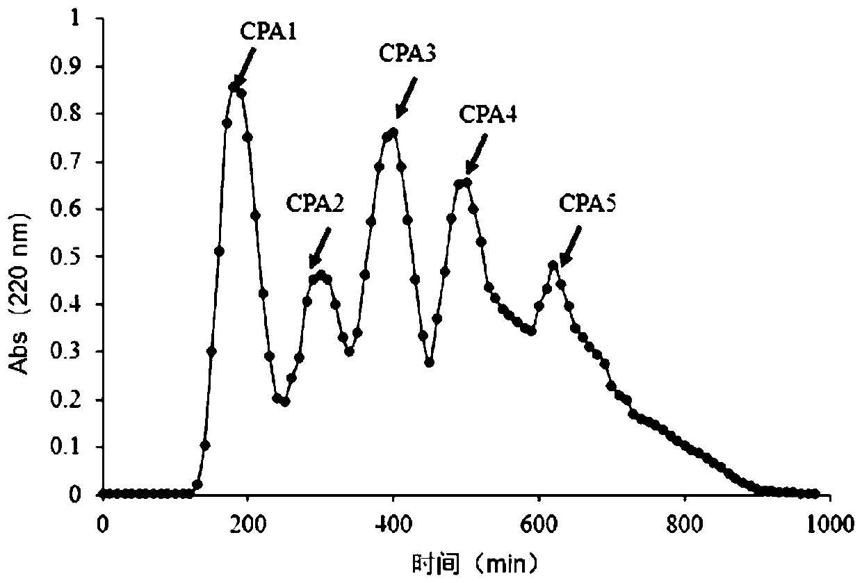 Antioxidant selenium polypeptide derived from pennsylvania bittercress herb and preparation method thereof