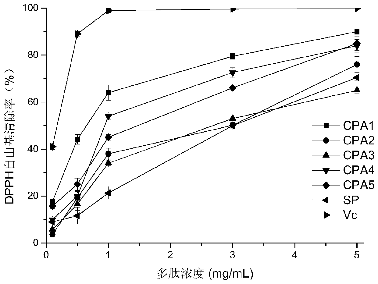 Antioxidant selenium polypeptide derived from pennsylvania bittercress herb and preparation method thereof