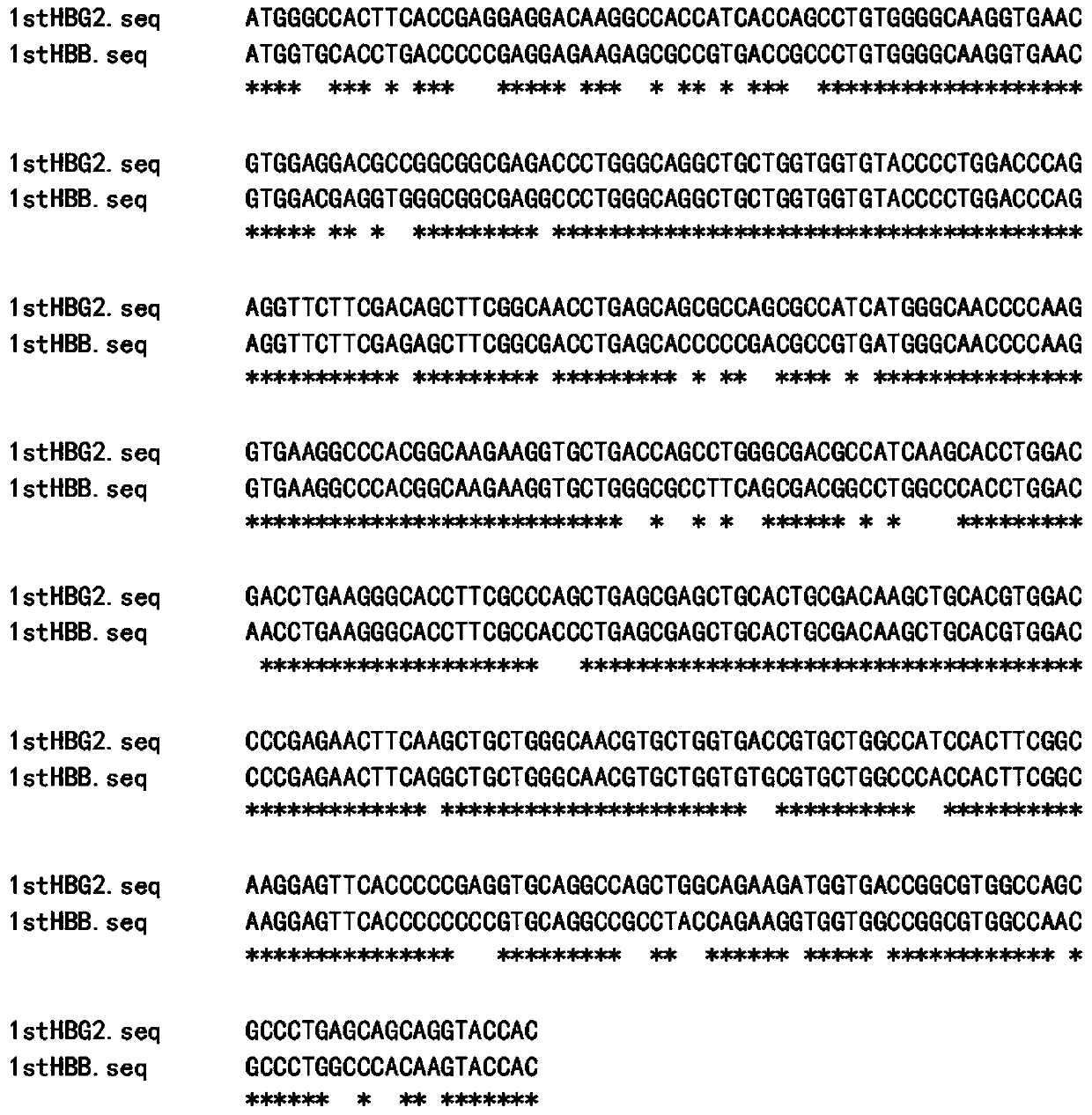 Globin gene dual-expression lentivirus vector and application thereof