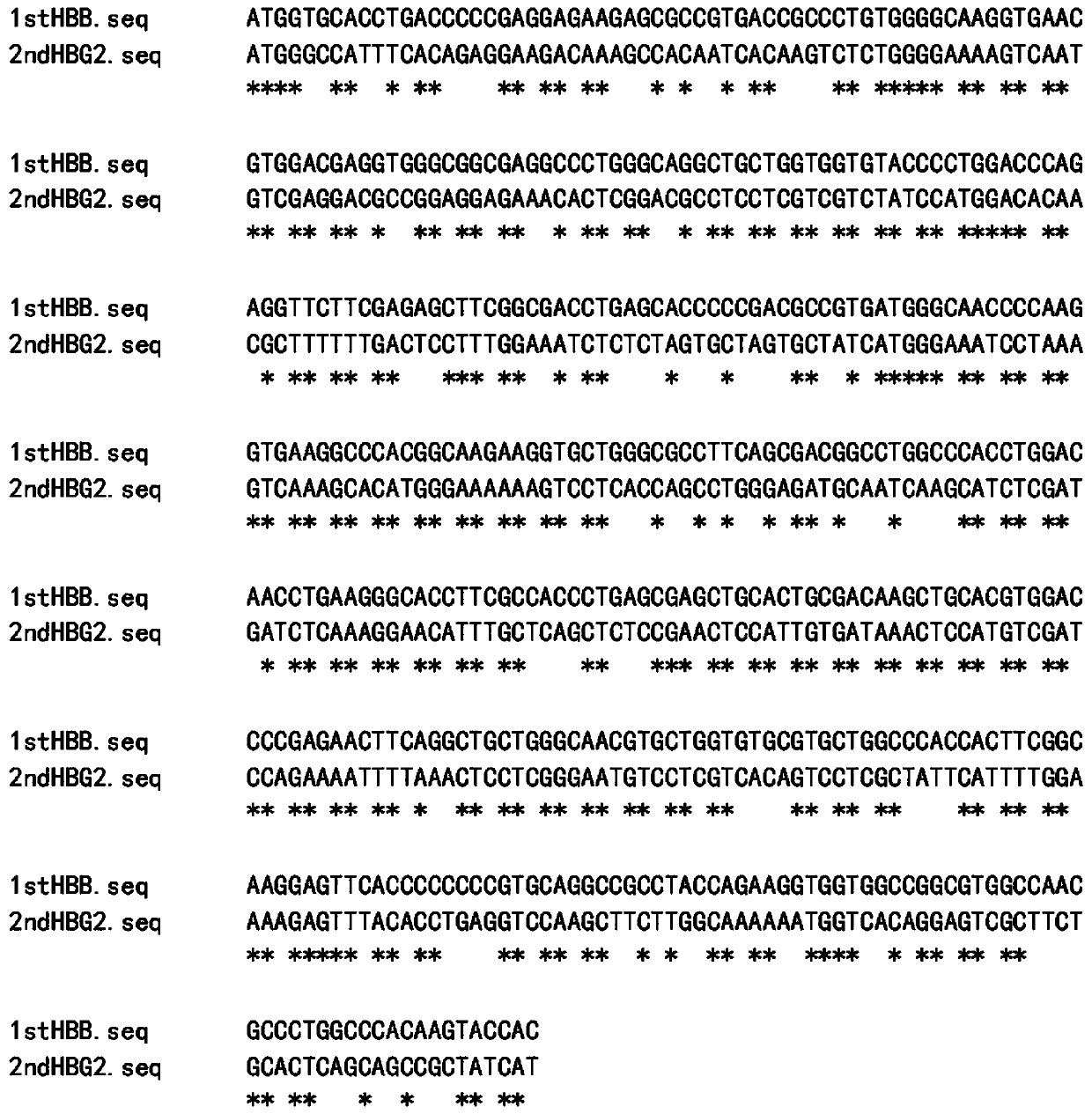 Globin gene dual-expression lentivirus vector and application thereof