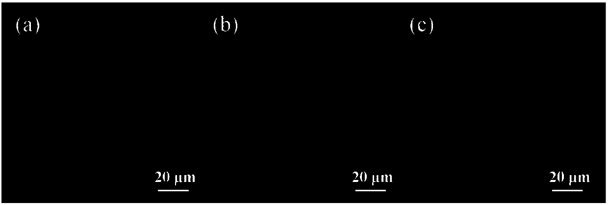 Method for preparing large-area patterned organic light-emitting film by printing