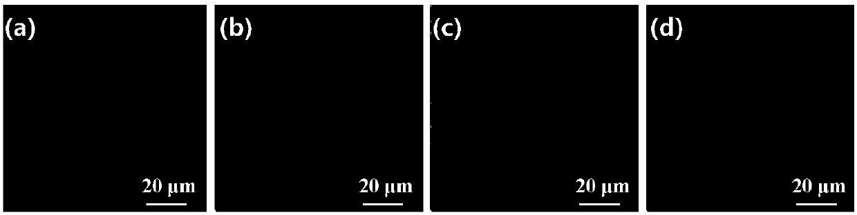 Method for preparing large-area patterned organic light-emitting film by printing
