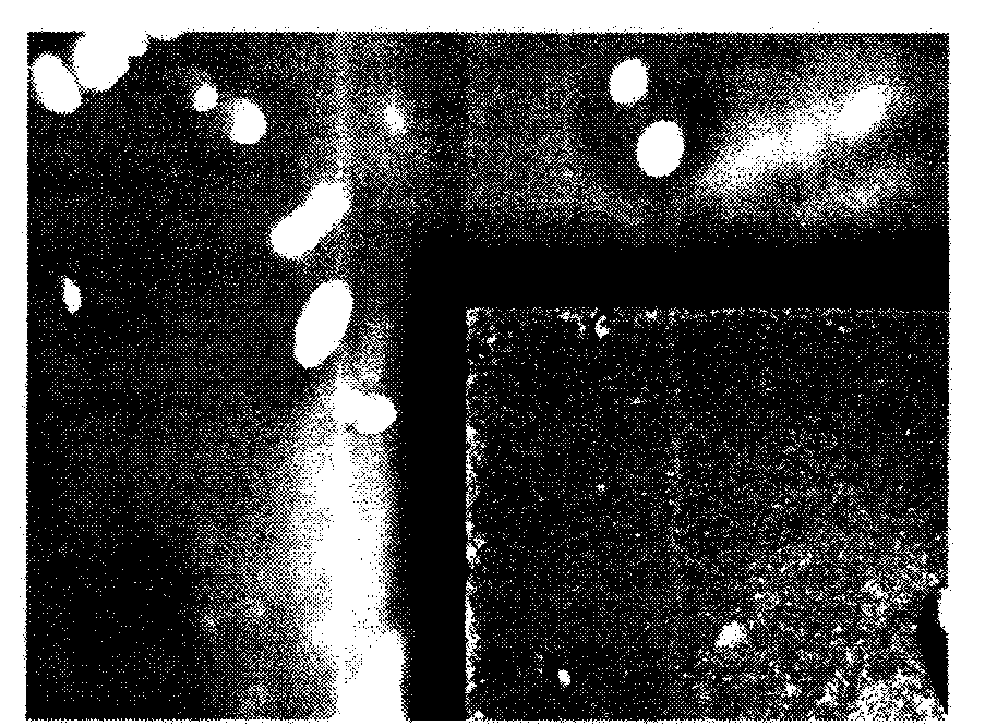 Novel upper light source inclined illumination type image collecting method for tile size detection