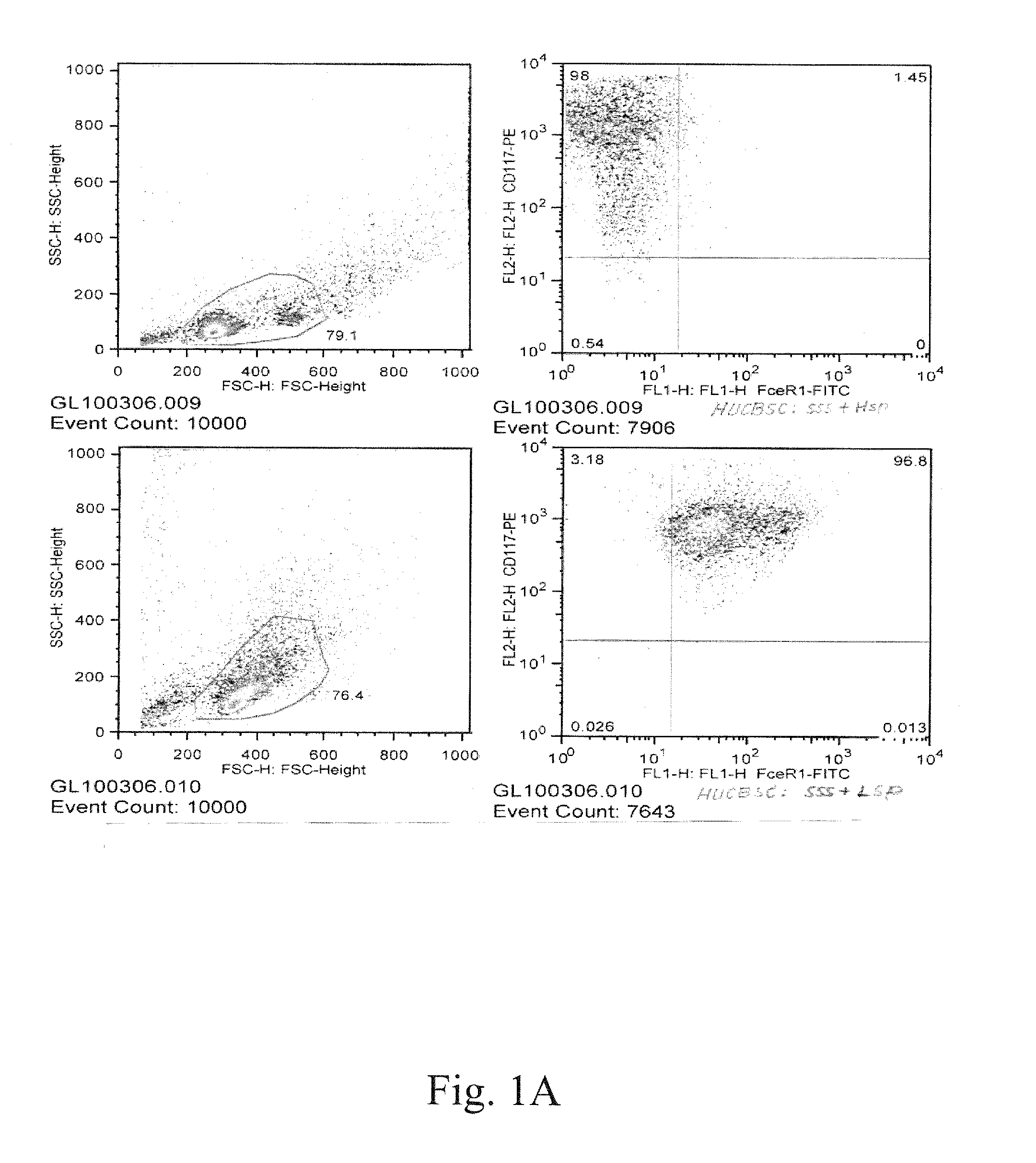 Human mast cell line and uses thereof