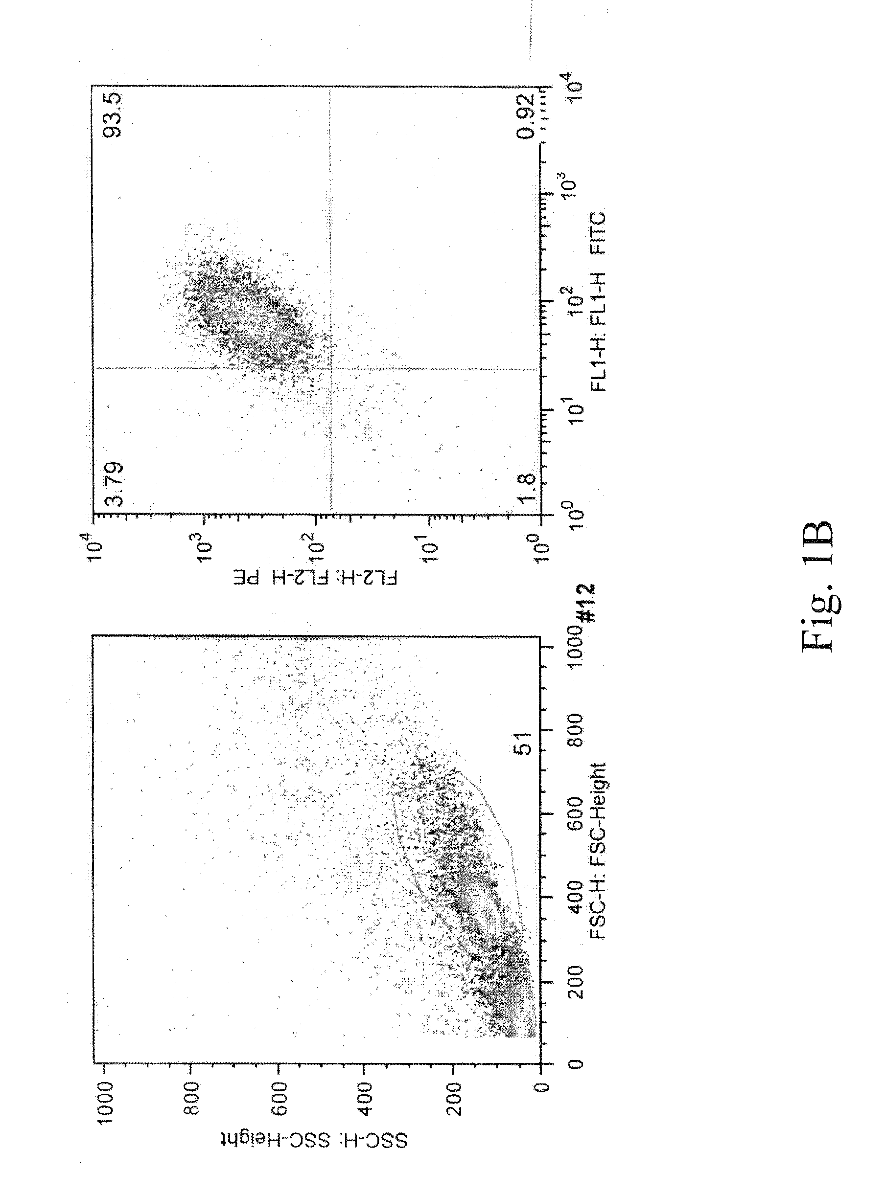 Human mast cell line and uses thereof