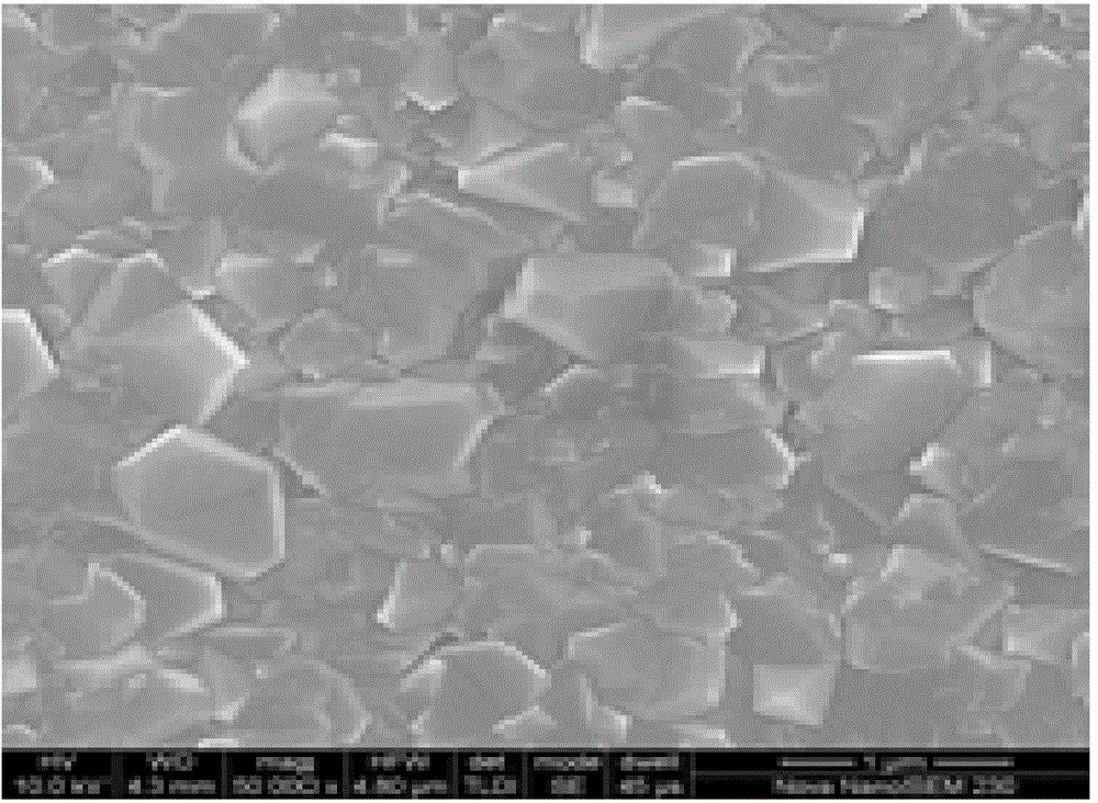 Surface-discharge ceramic substrate applied to optical pumping source and manufacturing method of surface-discharge ceramic substrate