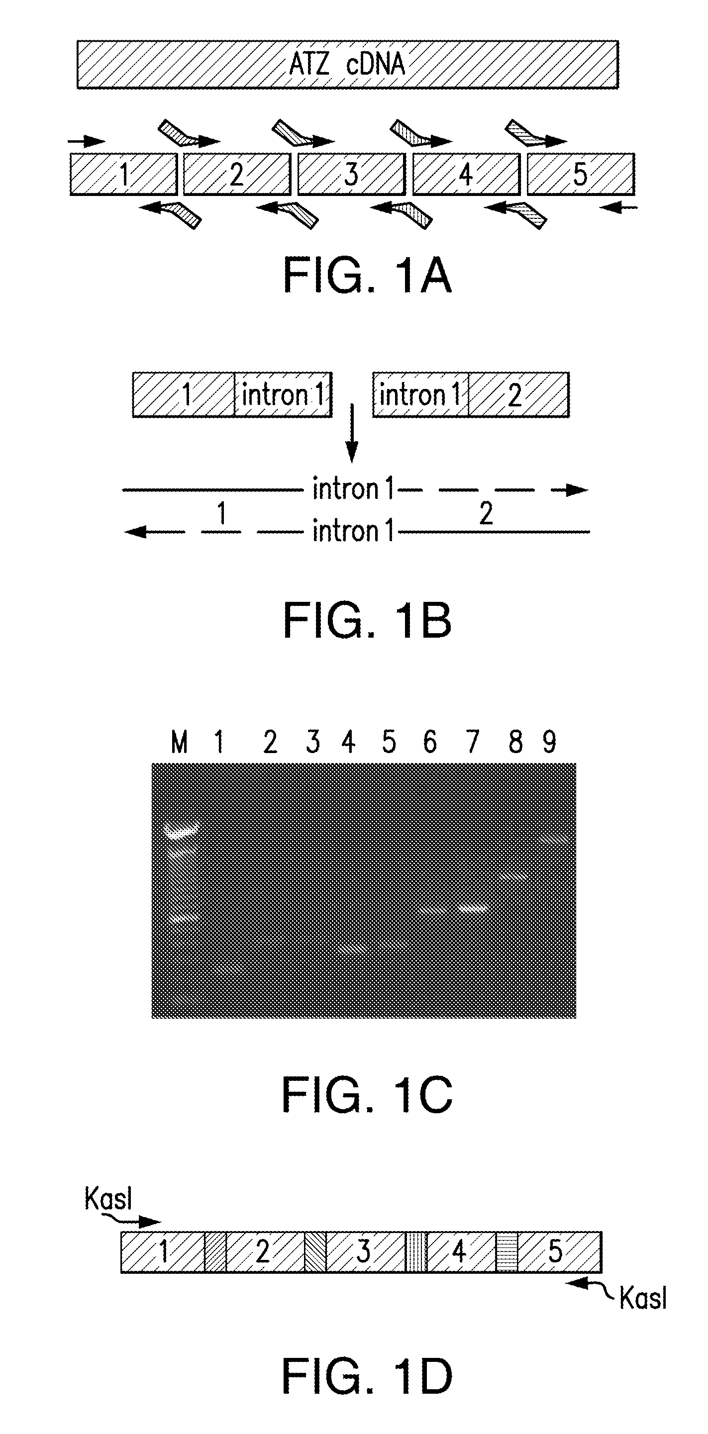 Methods of Treating Disorders Associated with Protein Aggregation