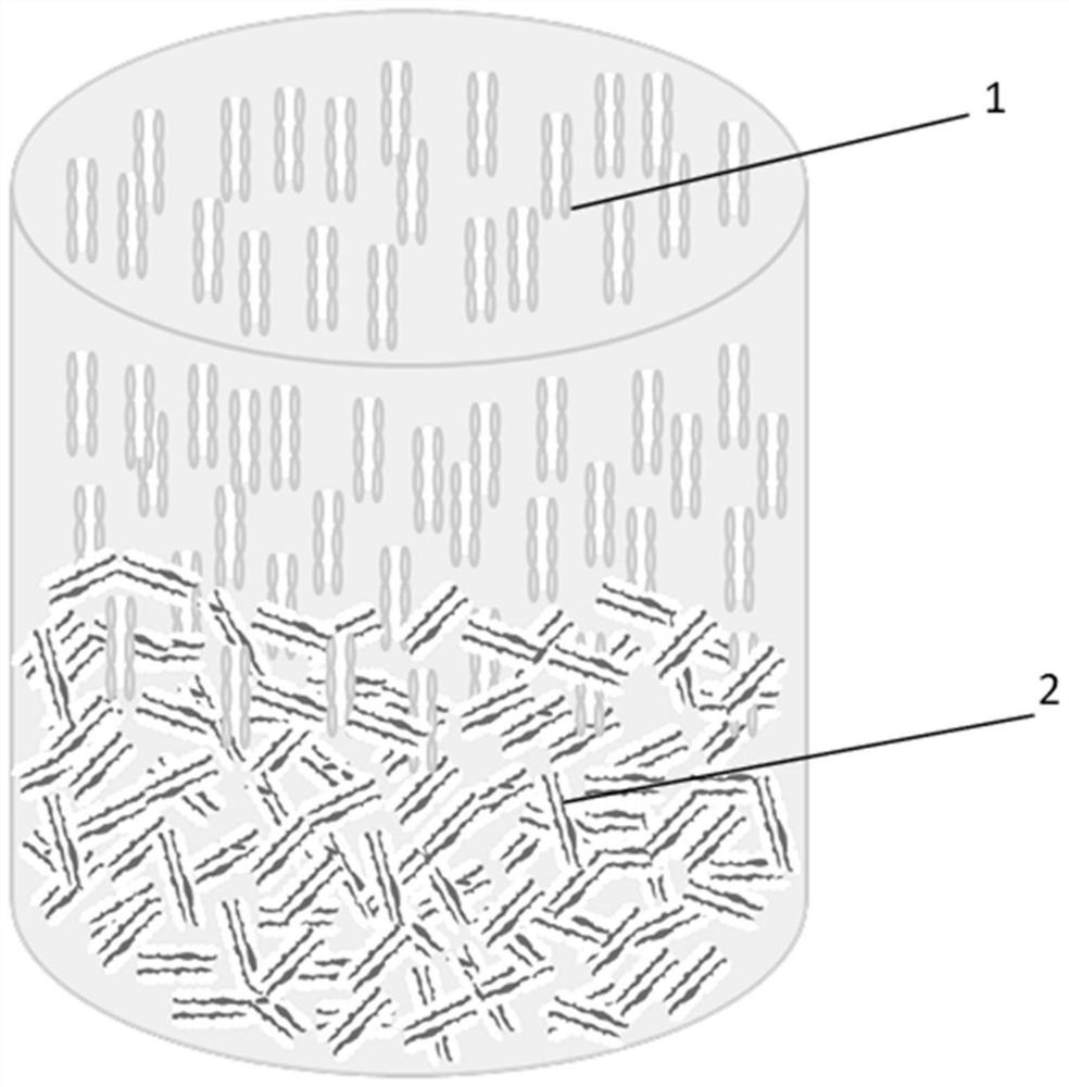 Preparation method of bionic directional double-layer hydrogel for bone/cartilage repair
