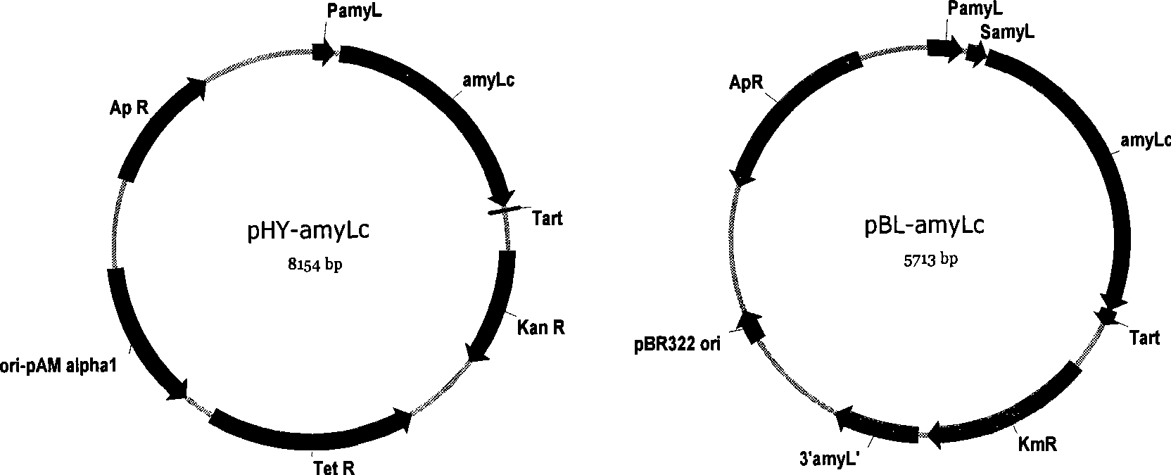 High efficiency preparation method of high temperature alpha-amylase and mutant thereof