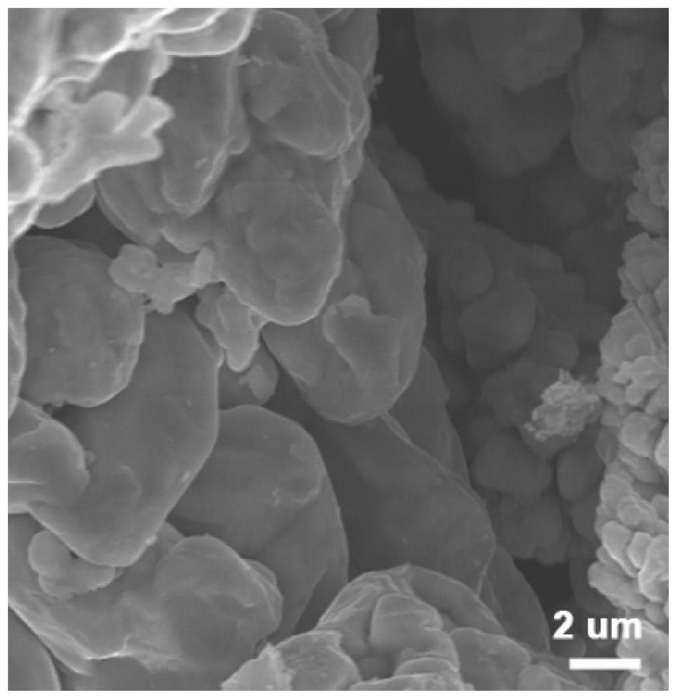 Method for coating surface of high-curvature copper powder with ...