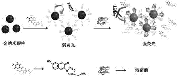 Dual-output sensor for lysozyme detection and preparation method of lysozyme