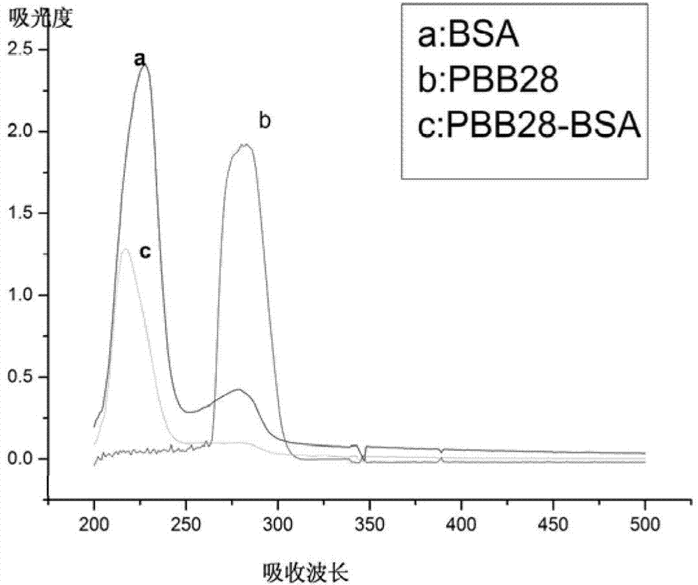 Polybrominated biphenyls homologue immunogen and preparation method