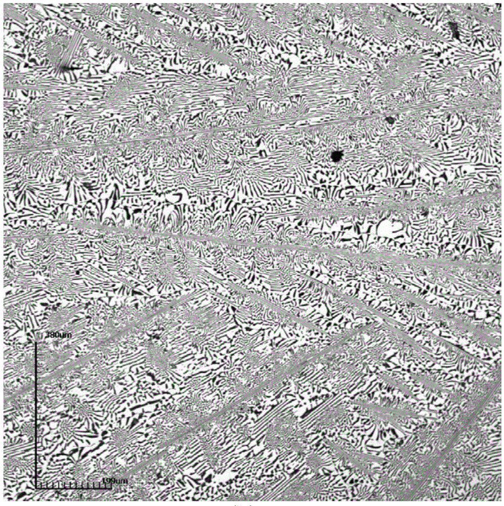 High-strength and high-plastic seawater corrosion-resistant alloy, its preparation method and application