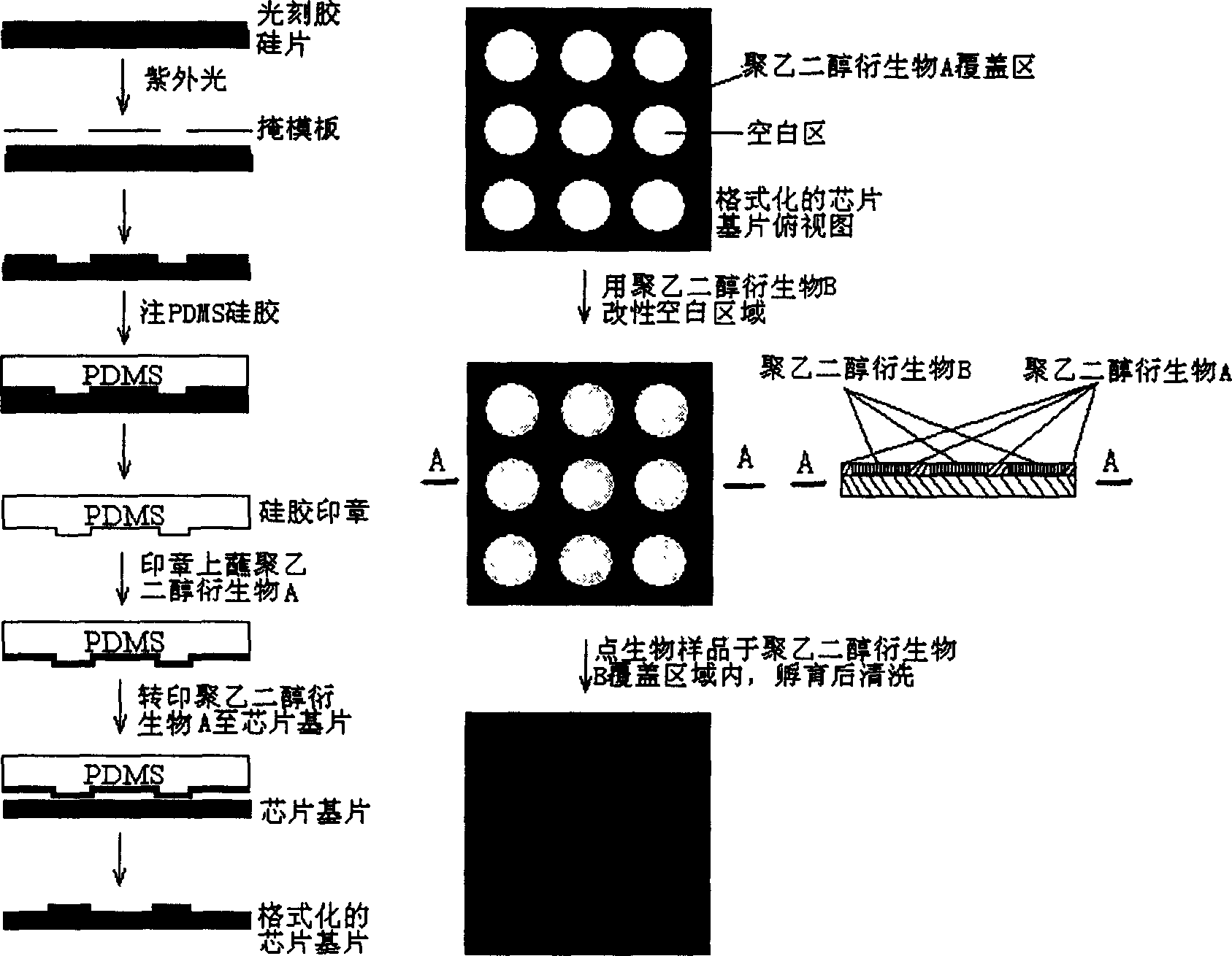 Method for making bio-chip