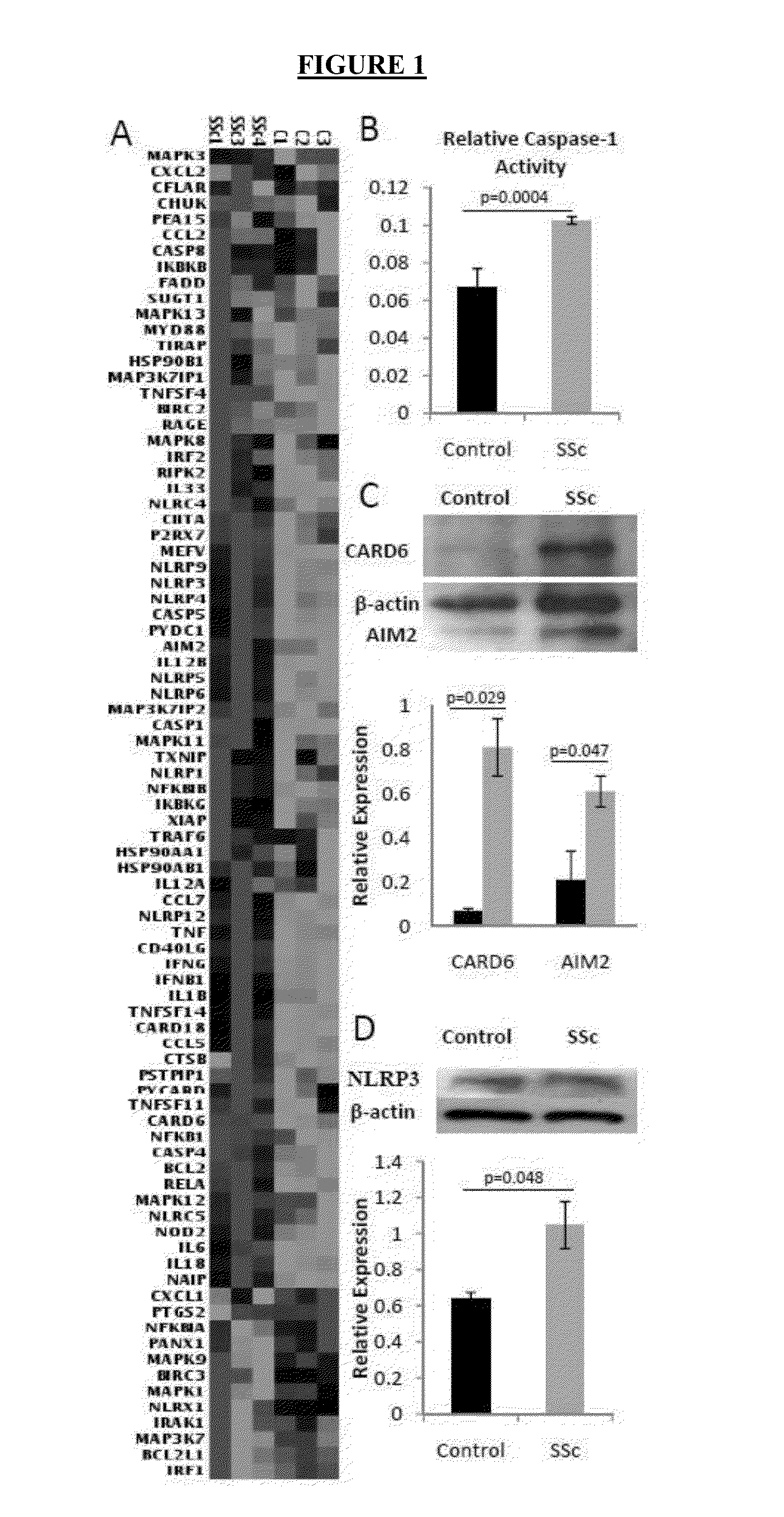Methods for treating or preventing fibrosis in subjects afflicted with scleroderma