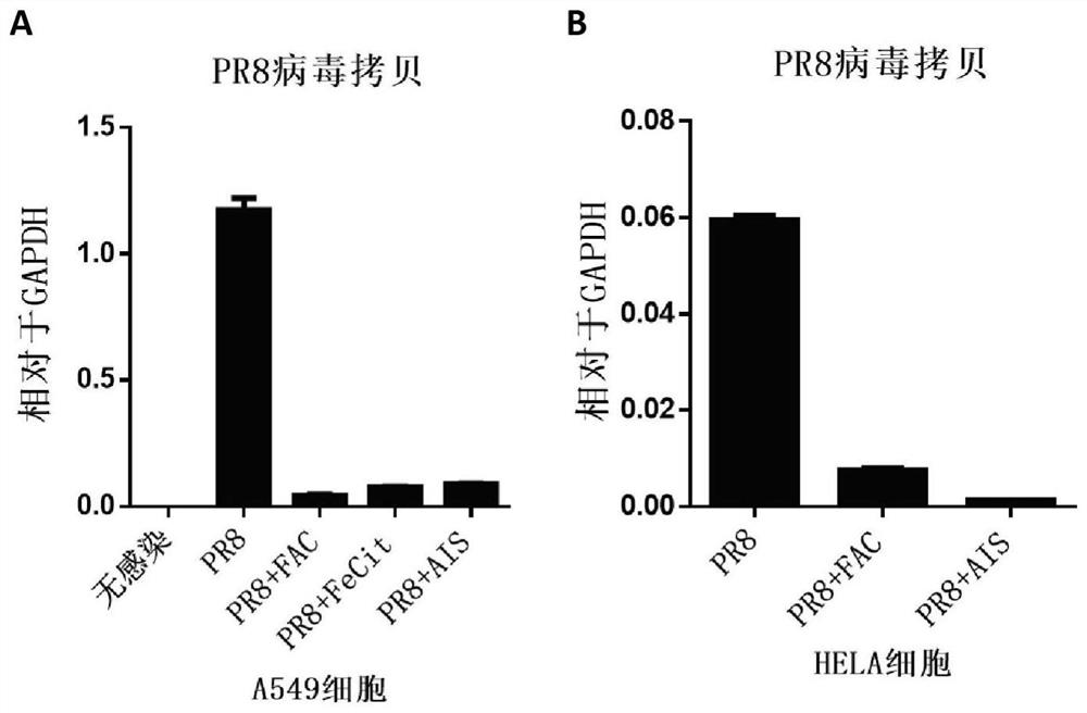 Application of Iron Ion in Inhibiting RNA Virus