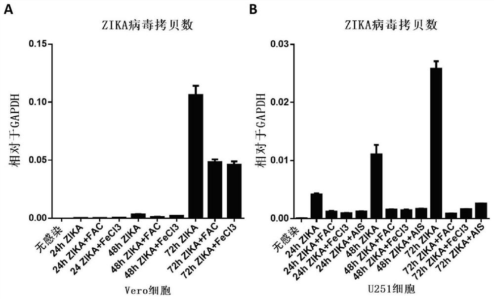 Application of Iron Ion in Inhibiting RNA Virus