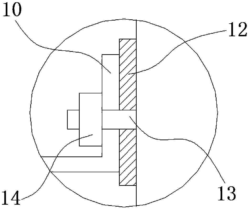 Classification device applicable to fish aquaculture in rice field