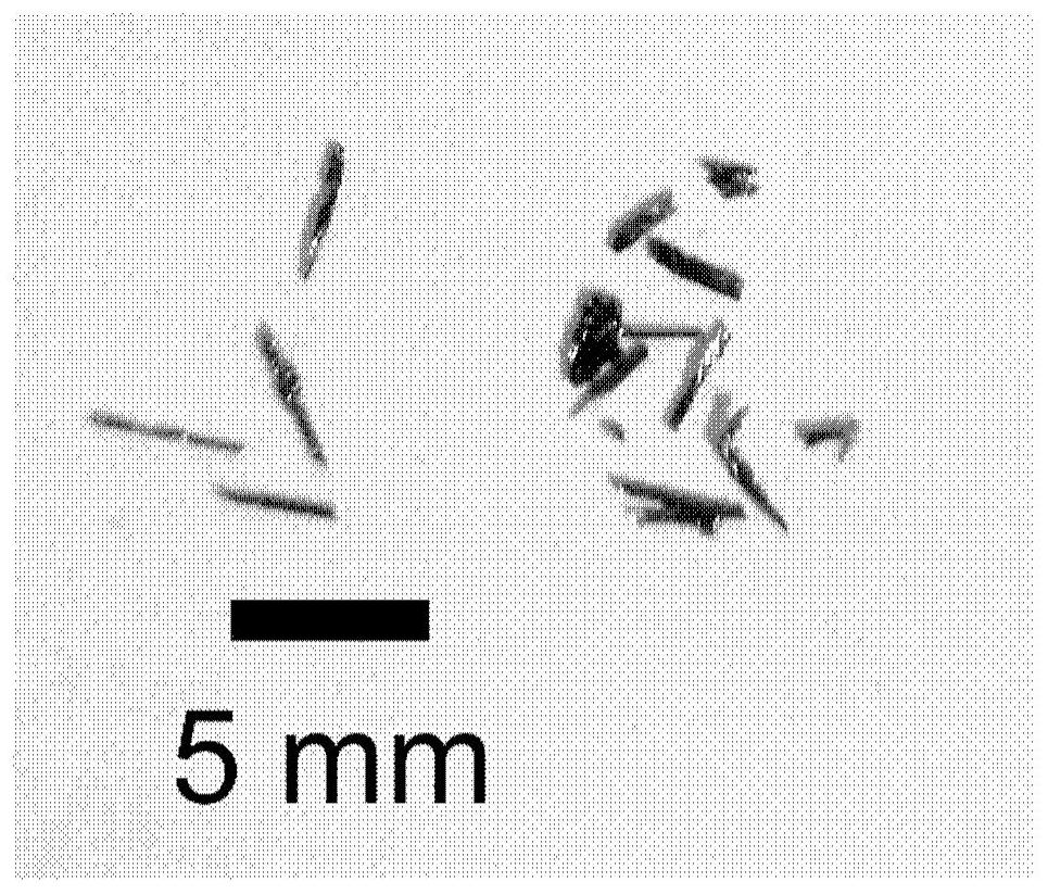 Preparation method of vanadium dioxide-based single crystal and vanadium dioxide-based single crystal