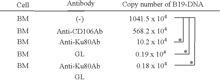 Novel human parvovirus B19 receptor and uses thereof