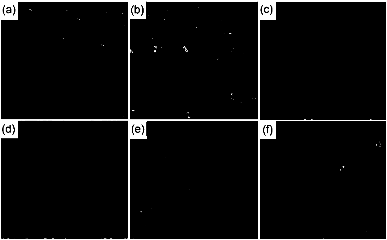 Left-side stellate ganglion inhibitor based on near infrared laser illumination