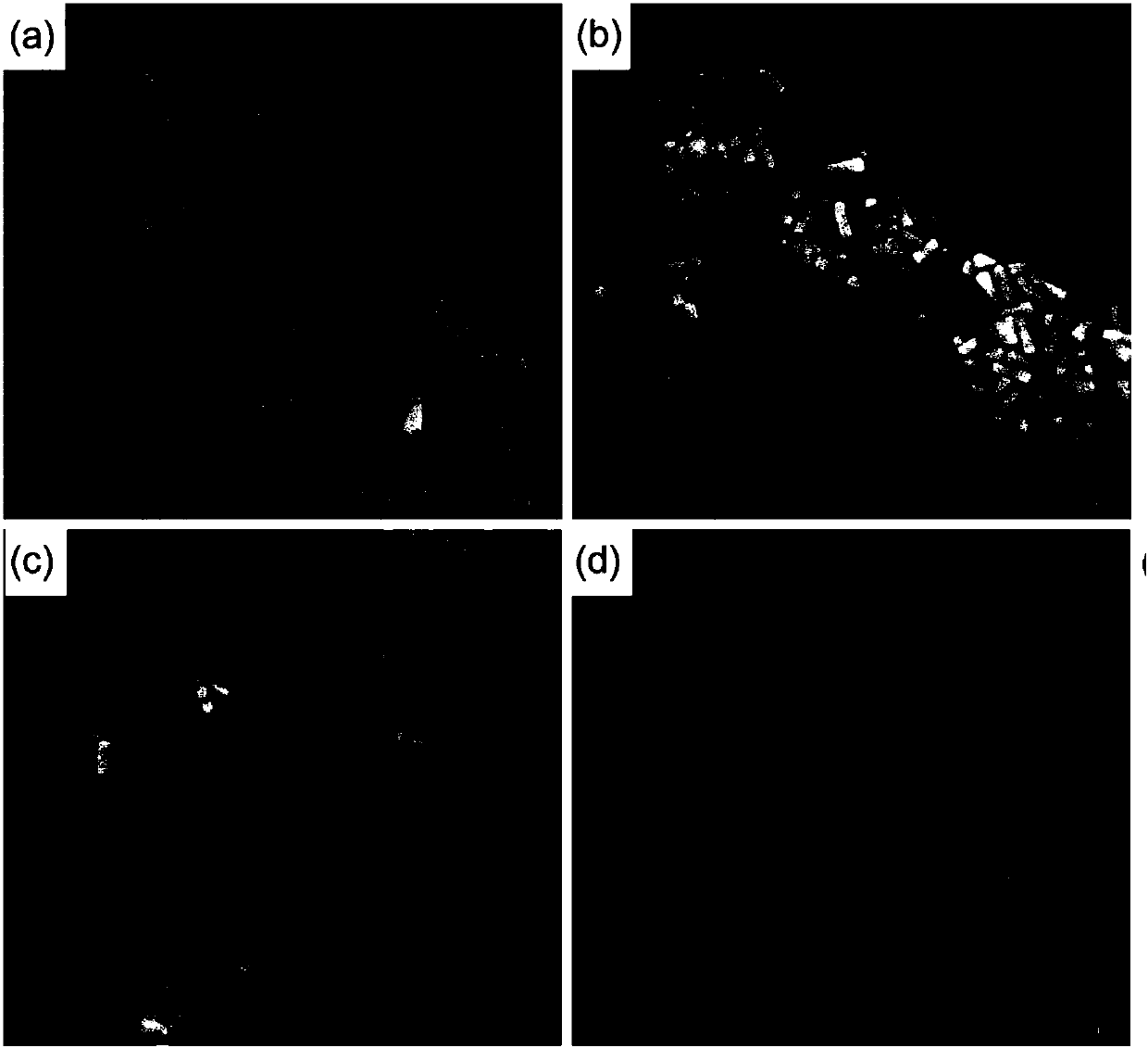 Left-side stellate ganglion inhibitor based on near infrared laser illumination