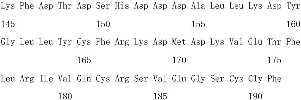 Recombinant human growth hormone and application thereof in promoting follicular development