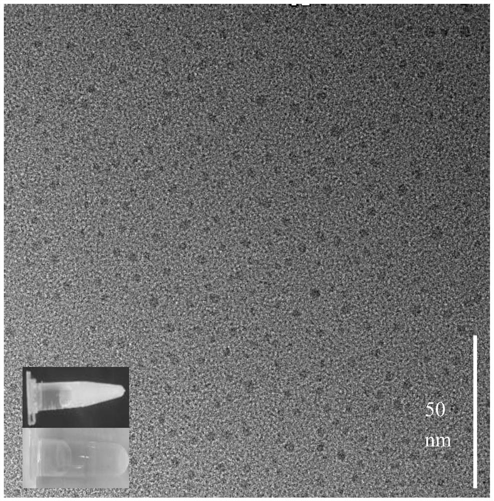 A Ratiometric Fluorescence Analysis Method for Detecting Nitrite